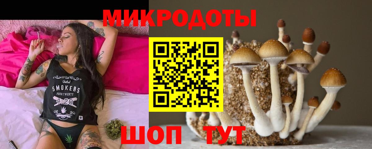 Салехард  Галлюциногенные грибы ЛСД  Вход с VPN 